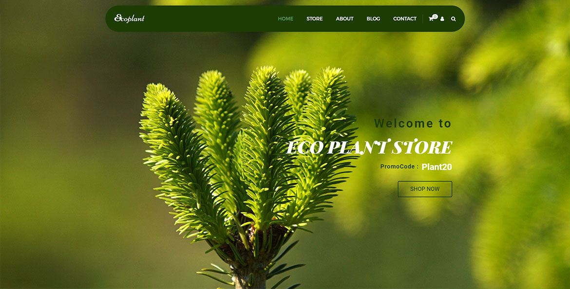Struktura SEO dla sklepu internetowego z sadzonkami i krzewami EcoPlant
