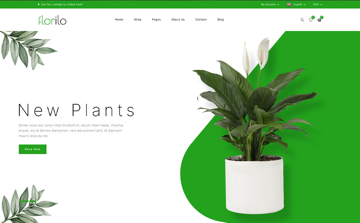 Zoptymalizowany proces zakupowy w sklepie internetowym z roślinami Floraweed
