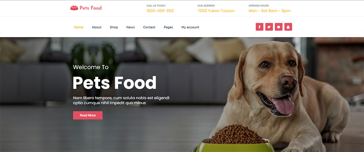 Projektowanie e-sklepu dla branży pet-care