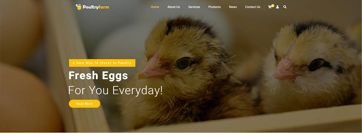 Tworzenie sklepu zoologicznego – kurczęta