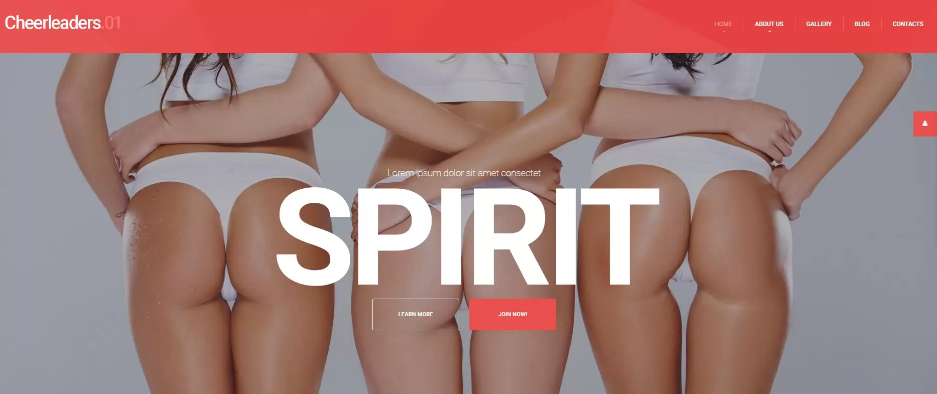 Serwis internetowy dla szkoły tańca i cheerleadingu – zajęcia grupowe