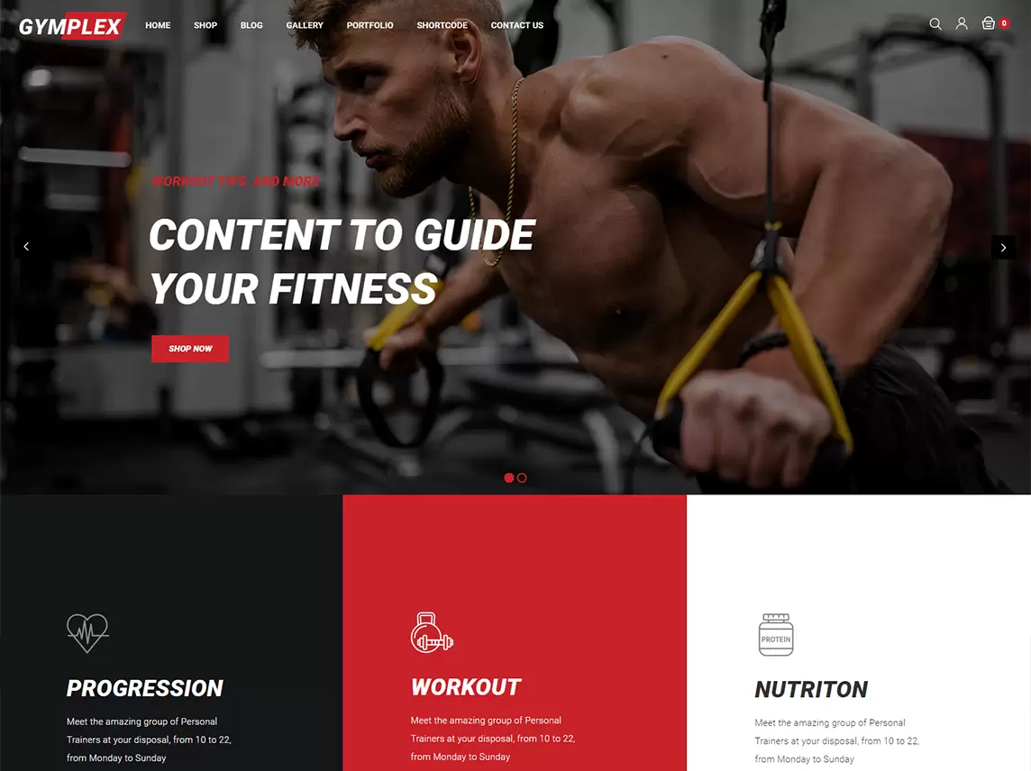 Realizacja minimalistycznych sklepów internetowych dla branży fitness i wellness.
